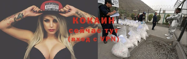 бошки Медногорск
