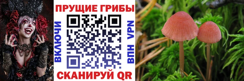 Галлюциногенные грибы прущие грибы  ссылка на мегу как войти  Александров 